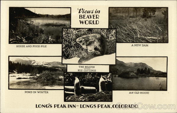 Long's Peak Inn and Beavers Allenspark Colorado