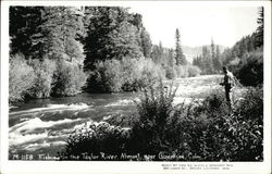 Fishing In the Taylor River Gunnison, CO Postcard Postcard Postcard