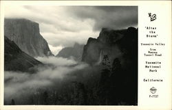 After the Storm Postcard