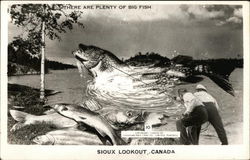 There are Plenty of Big Fish Postcard