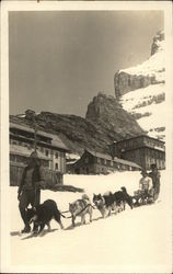 Polarhunde der Jungfraubahn Switzerland Postcard Postcard Postcard