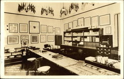 Frederick A. Newman Stamp Shop Postcard