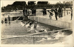 Hotel Sarci Crespo Postcard