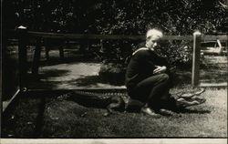 Sailor on Alligator Postcard