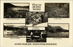 Long's Peak Inn and Beavers Postcard