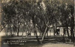 Herman's Lawn, Bluff Lake Postcard