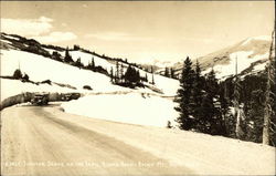 Early Summer Scene on the Trail Ridge Road Postcard
