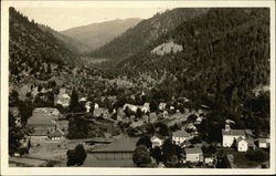 View of Town in Wooded Valley - Idaho? Postcard