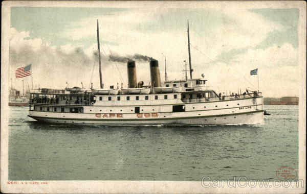 Steamer Cape Cod Steamers