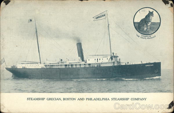 Steamship Steamers