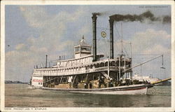 Packet Jas. T. Staples Postcard
