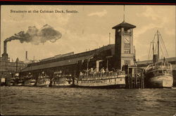 Steamers at the Colman Dock Seattle, WA Postcard Postcard Postcard