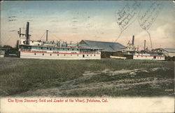 The River Steamers Gold and Leader at the Wharf Petaluma, CA Postcard Postcard Postcard