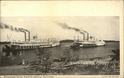 Mississippi River Packets Passing the Levee Steamers Postcard Postcard Postcard