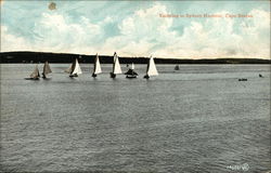 Yachting in Sydney Harbour Cape Breton, Australia Postcard Postcard Postcard
