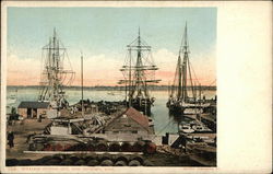 Whales Fitting Out New Bedford, MA Postcard Postcard Postcard