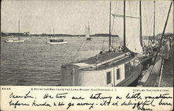 A Bit of the Bayou From the Long Wharf Postcard