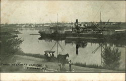 Three Steamers Landing Postcard