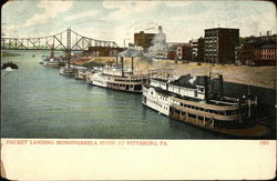 Packet Landing Monongahela River Pittsburgh, PA Postcard Postcard Postcard
