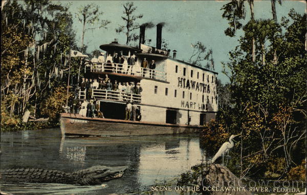 Scene on the Ocklawaha River - Hart Line Hiawatha Florida