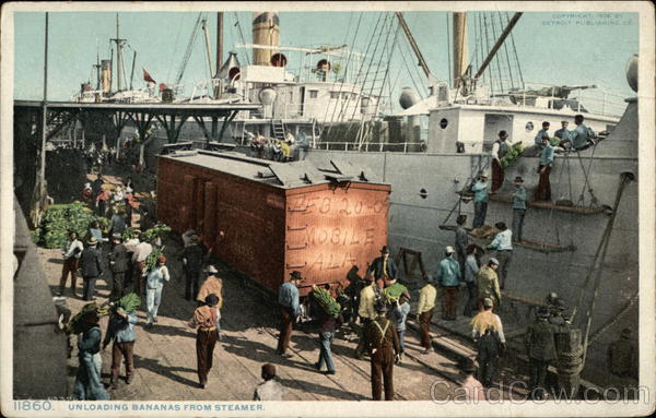 Unloading Bananas from Steamer Steamers