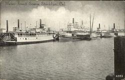 Water Front Scene Water Front Scene