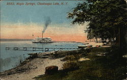 Steamer on Chautauqua Lake Maple Springs, NY Postcard Postcard Postcard