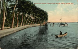 Cocoanut Palms Along Lake Worth Palm Beach, FL Postcard Postcard Postcard