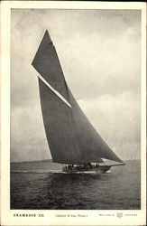 Shamrock III Sailboats Postcard Postcard Postcard