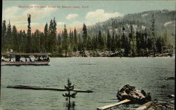 Steamboat Pleasure Party on the Water Postcard