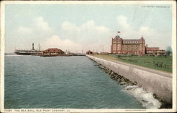 View of the Sea Wall Postcard