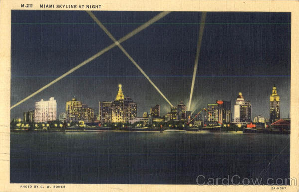 Miami Skyline At Night Florida