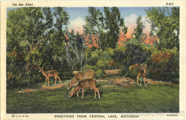 Greetings From Central Lake Michigan