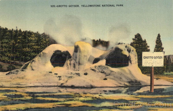 Grotto Geyser, Yellowstone National Park Wyoming