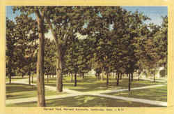 Harvard Yard, Harvard University Postcard