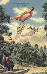 Rushmore And Pheasant Postcard