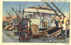Loading Cotton For Export At Huston Postcard