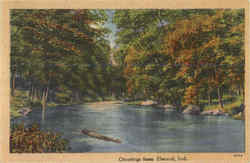 Greetings From Elwood Postcard