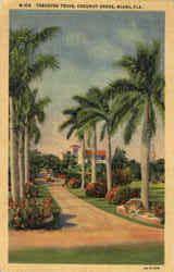 Treasure Trove Coconut Grove Postcard
