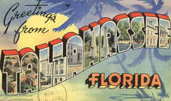 Greetings From Tallahassee Postcard