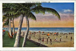 Bathing Palm Beach, FL Postcard Postcard