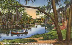 Way Down Upon The Suwannee River In The Sunshine State Scenic, FL Postcard Postcard