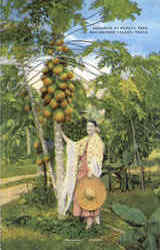 Senorita At Papaya Tree, Rio Grande Valley Postcard