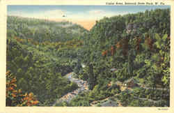 Cabin Area Postcard