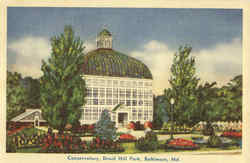 Conservatory, Druid Hill Park Postcard