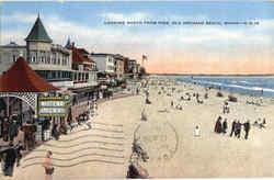Looking North From Pier Postcard