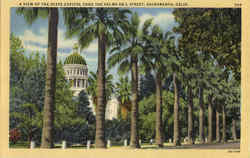 A View Of The State Capitol Thru The Palm On L Street Sacramento, CA Postcard Postcard