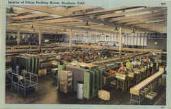 Interior Of Citrus Packing House Scenic, CA Postcard Postcard
