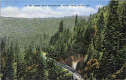 In The Santa Cruz Mountains California Postcard Postcard