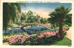 Restful Beauty In Hollenbeck Park Postcard
